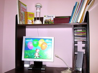 pcs
