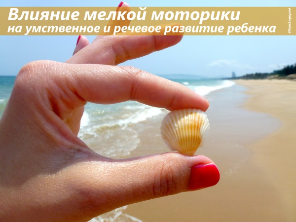 Влияние мелкой моторики на умственное и речевое развитие ребенка