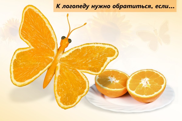 butterfly-