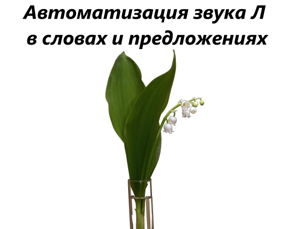 lily-of-the-valley-