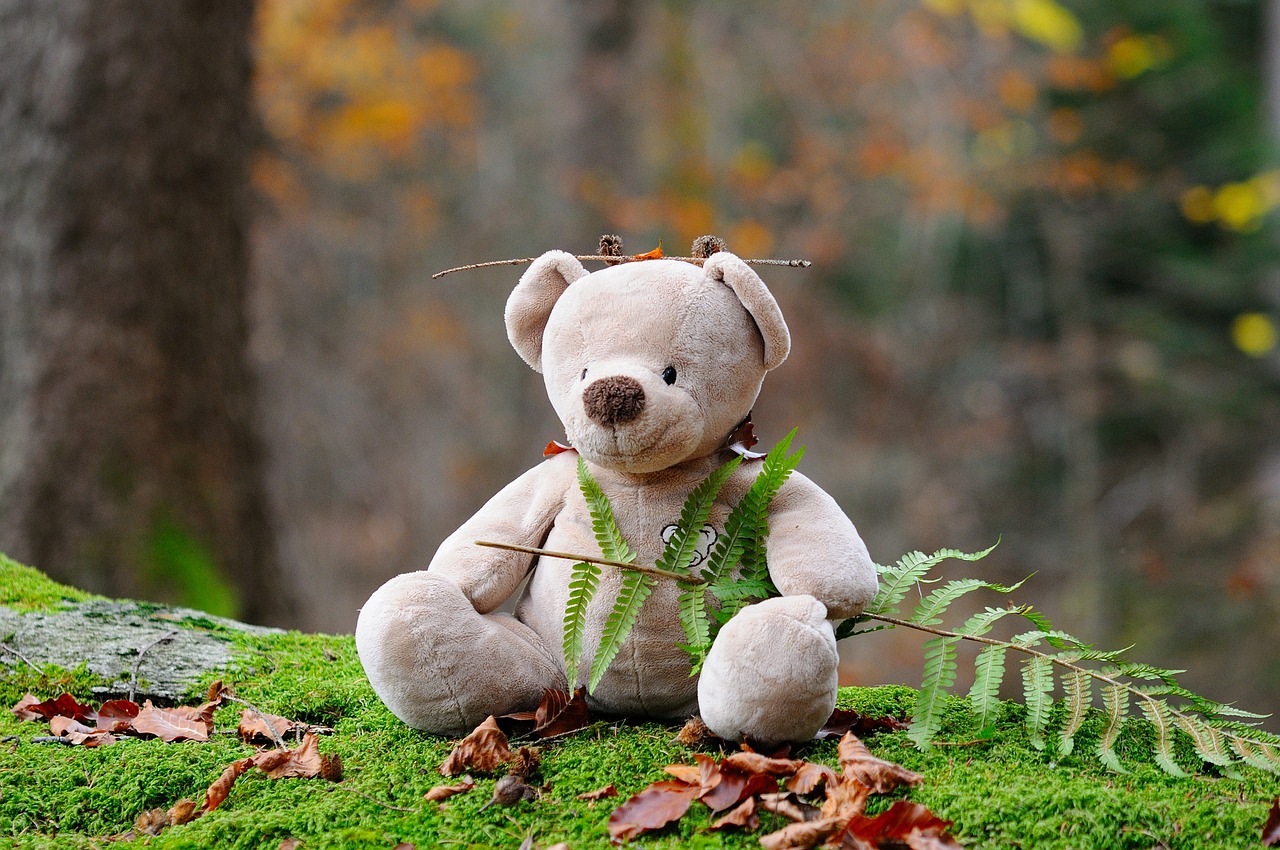 teddy-bear-524251 1280
